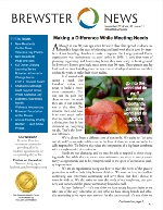 Brewster News November 2014