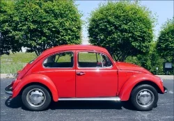 1969 VW Beetle